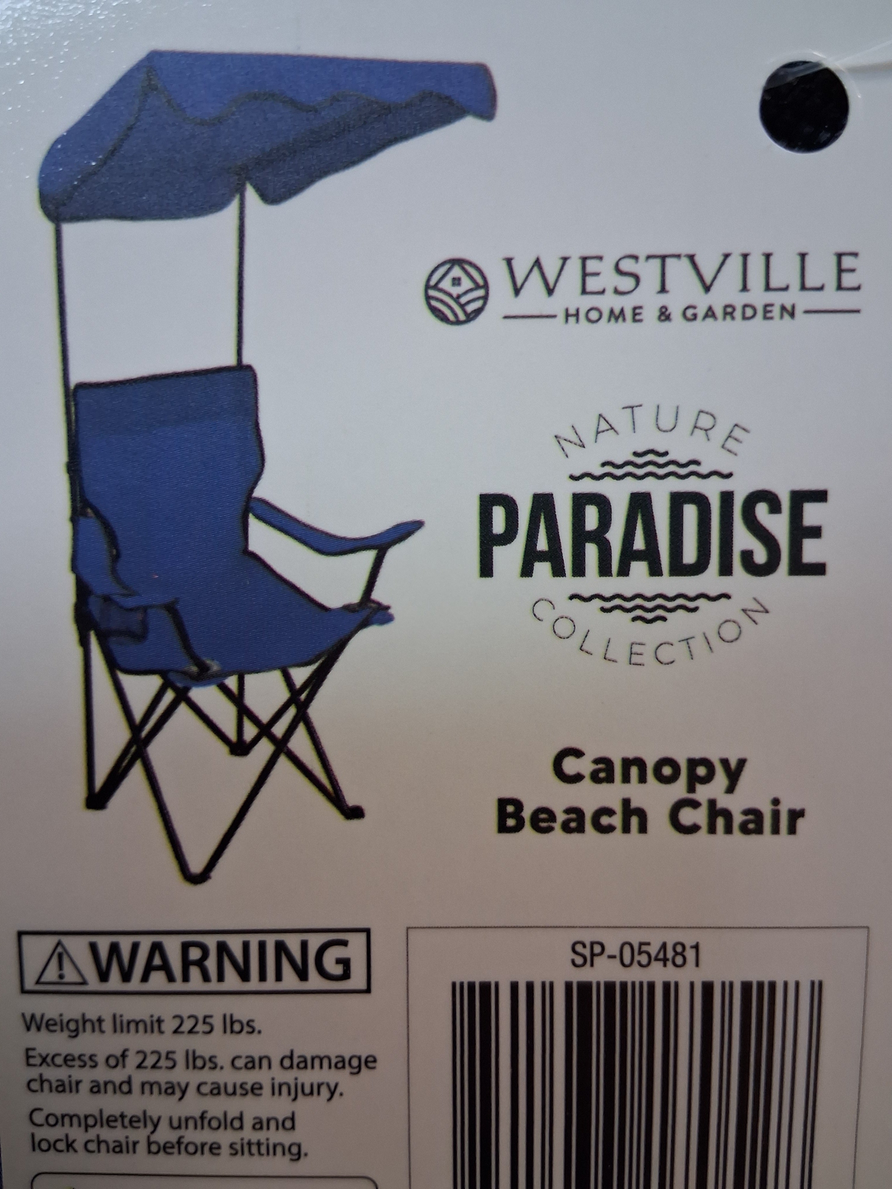 Canopy Beach Chair
